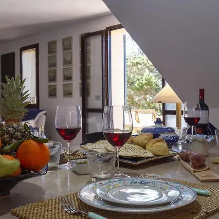 Villa Joie De Vivre Alghero Large Villa With Pool And Large Bright Interiors Alghero